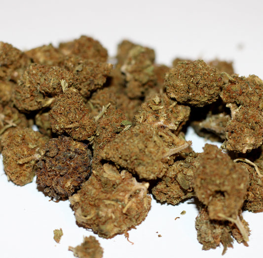 Pop Corn Gelato (5g-20g)